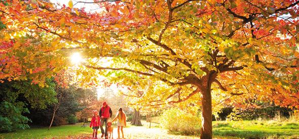 Bournemouth Central gardens in autumn with a family walking underneath the trees