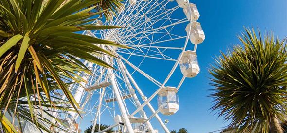Looking up at the Bournemouth wheel through some palm tree's on a clear sunny day
