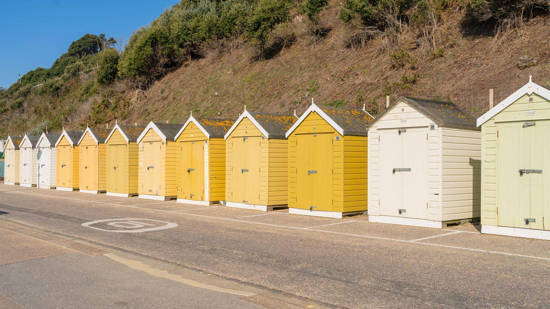 Row of Yellow beach huts basking in the sun