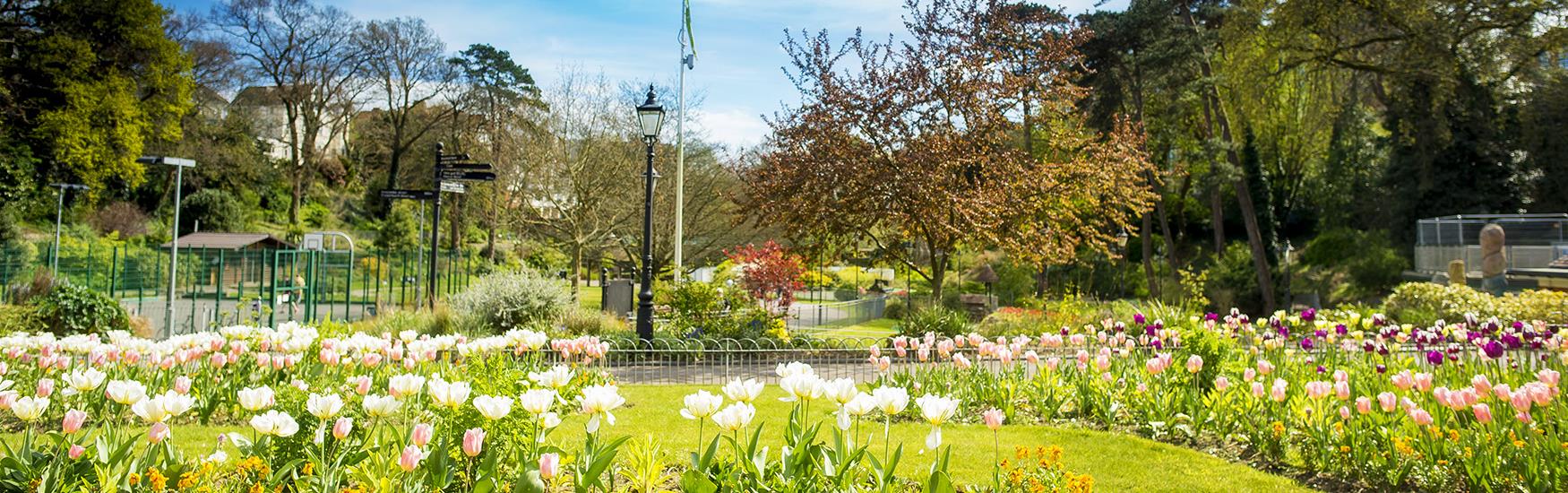 Tranquil walk in Boscombe Chine Gardens