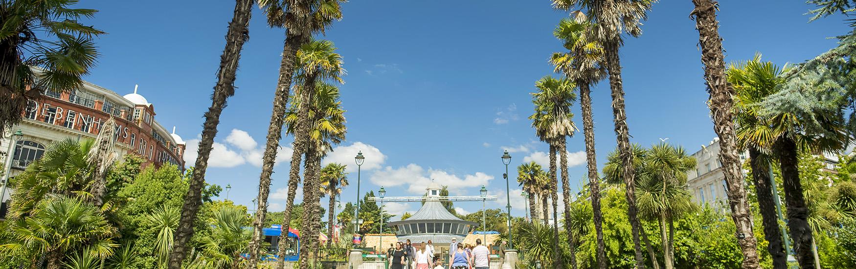 Visitors enjoying a stroll through the palm trees at Bournemouth's lower gardens in Spring time