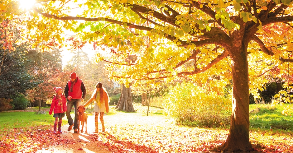 Autumn in Bournemouth