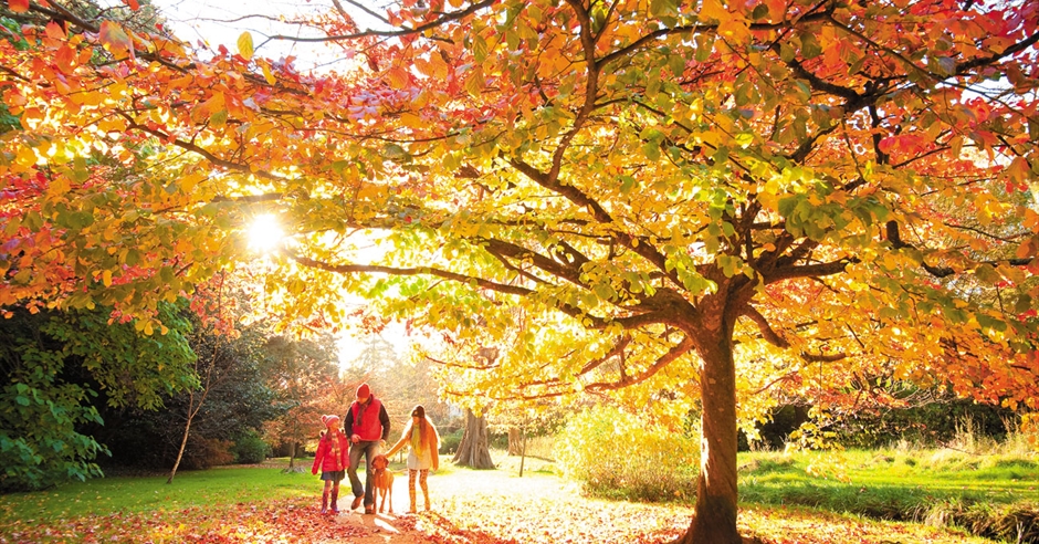 Bournemouth Central Gardens - Bournemouth