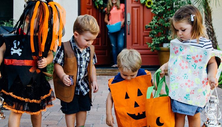 Children dressed in handmade costumes