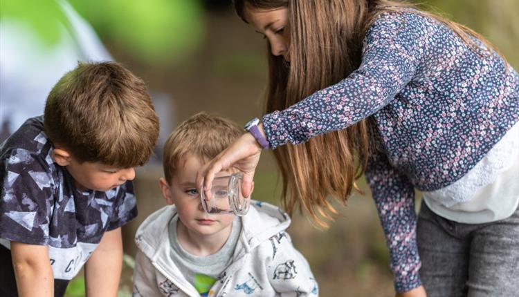 Hunting for bugs National Trust images Paul Harris