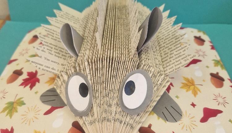 Book Art Folding Workshop for National Libraries Week