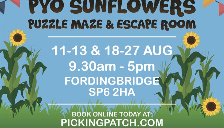 PYO Sunflowers, Puzzle Maize Maze & Pop-Up Escape Rooms