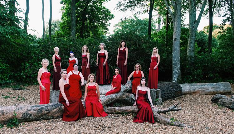La Nova Singers - In Dulci Jubilo - Christmas concert