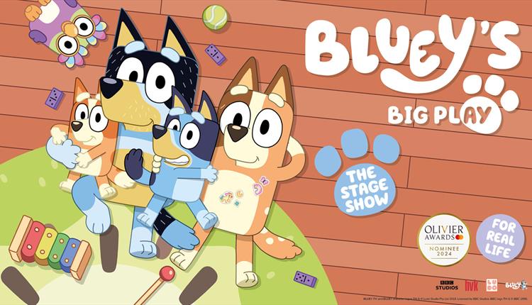 Bluey's Big Play