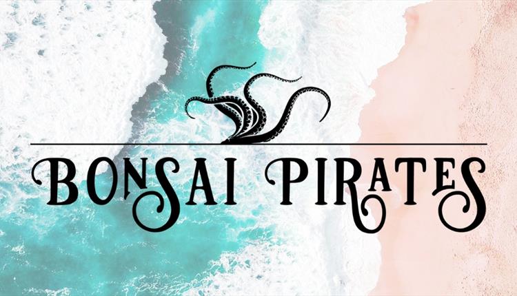 Bonsai Pirates log in black against a swirling pattern of pale turquoise, pink and white.