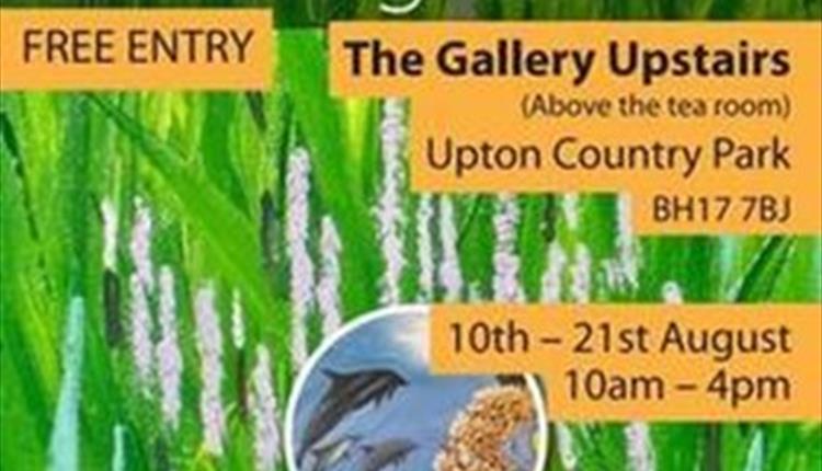 Colourful image of the poster for the events with flowers and grasslands