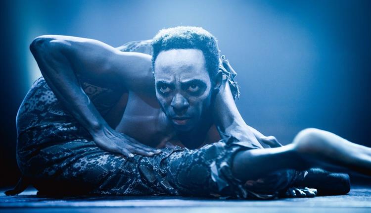 Circus of Horrors