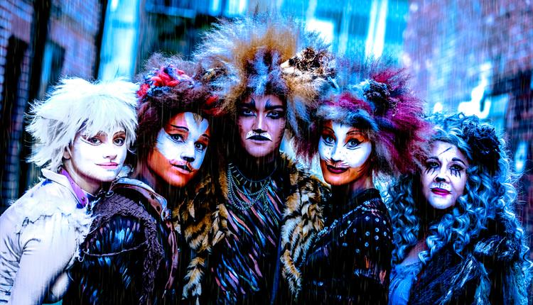 The cast of Cats at the Regent Centre