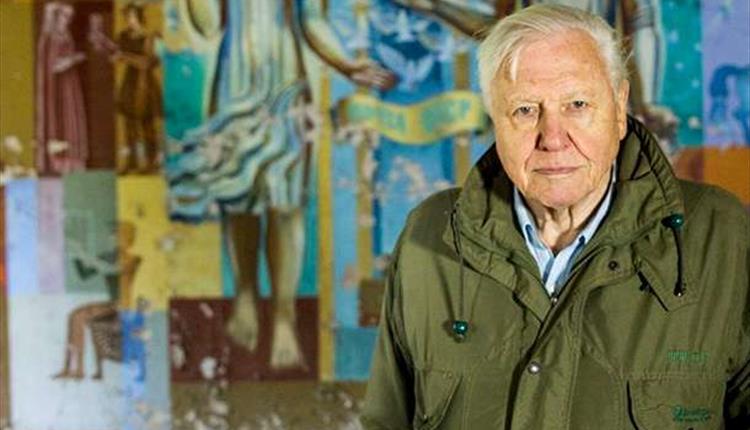 David Attenborough looking directly at the camera.