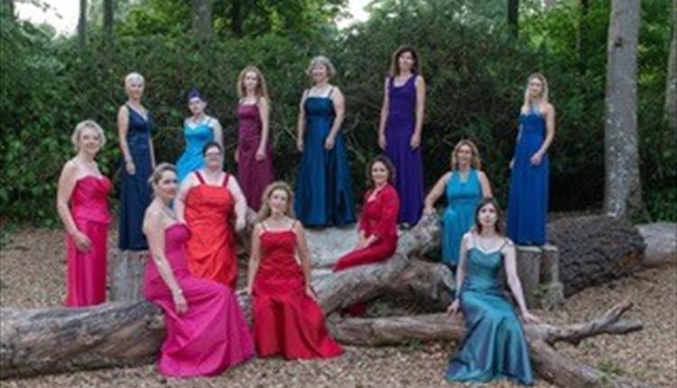 Group of 13 female singers perched on a tree in a forest. Dressed in bright dresses.