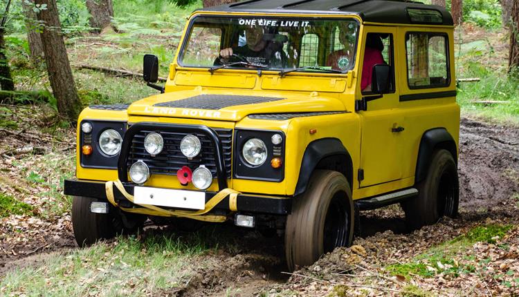 The Forest Drive at Beaulieu's Simply Land Rover