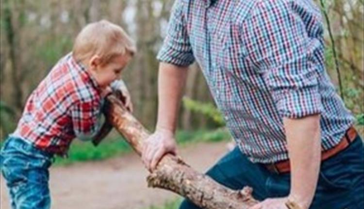 Picture of a father and son pushing on a large tree branch