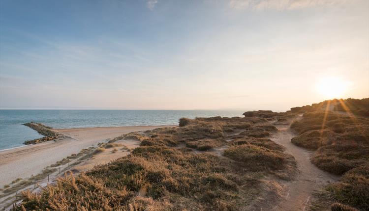 is boscombe beach dog friendly