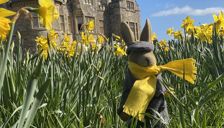 Easter bunny sat amongst the daffodils in front of Beaulieu's Palace House