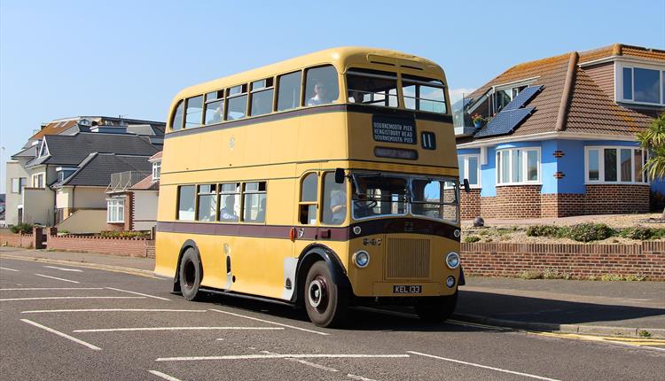 Bear Cross Bus Company