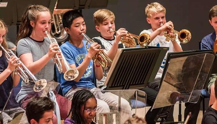 National Children's Orchestra of Great Britain