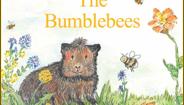 Front Cover of the book Cookie helps the bumblebees