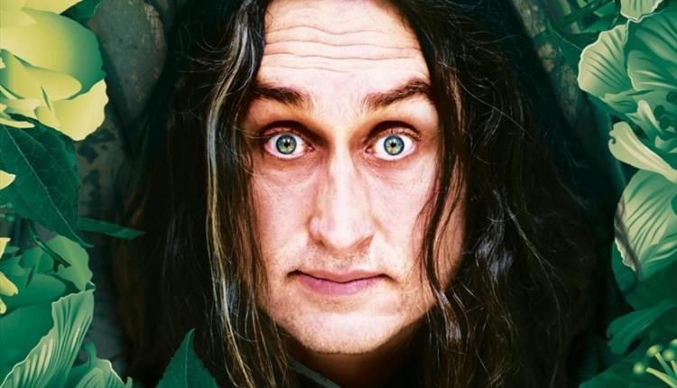 Ross Noble's face surrounded by green and yellow foliage