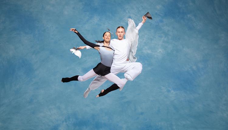 Dancing skydivers on a blue background