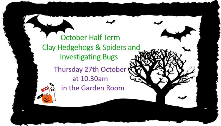 Clay Hedgehogs & Spiders and Investigating Bugs