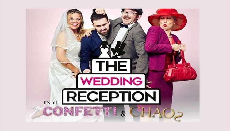 The Wedding Reception: Confetti & Chaos