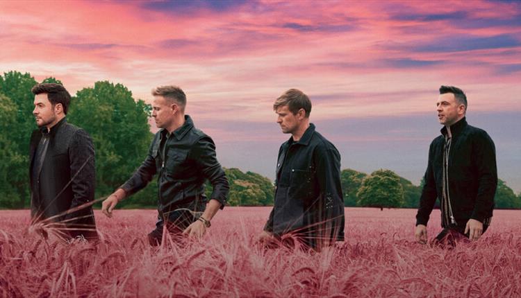 The band westlife walking through a pink field