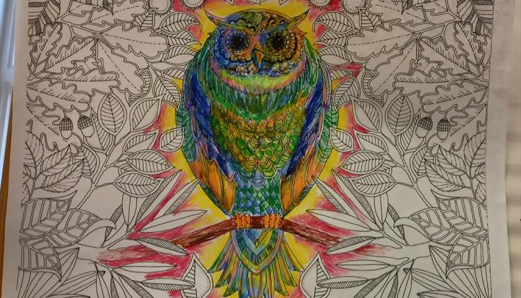 Owl, coloured in rainbow shades