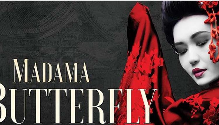 madama butterfly