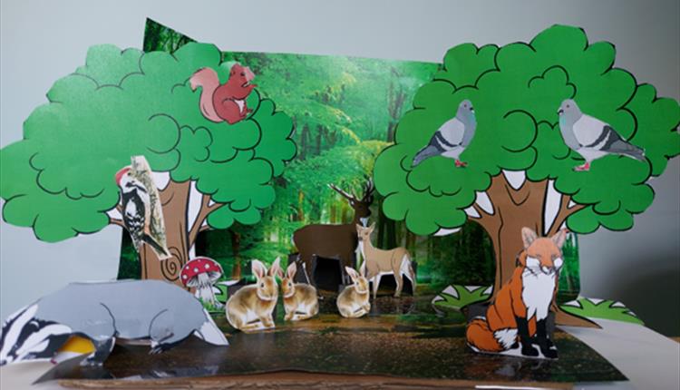 How to Make a Nature Diorama for Kids