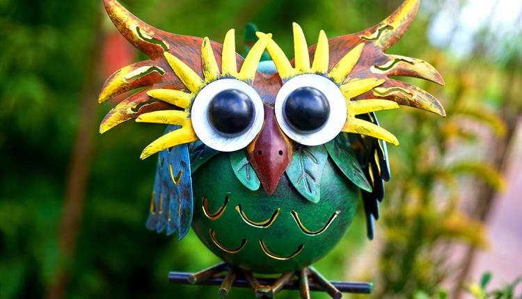 Wide eyed green and brown owl on a thin perch