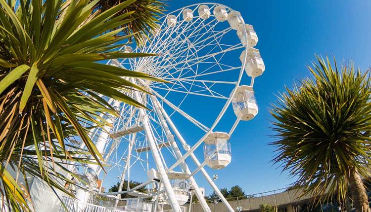 Looking up at the Bournemouth wheel through some palm tree's on a clear sunny day