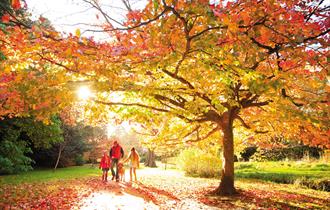 Bournemouth Central gardens in autumn with a family walking underneath the trees