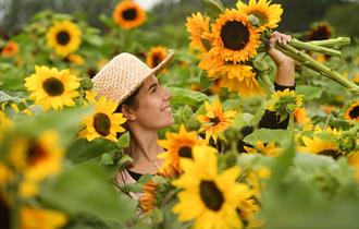 Woman wearing a hat holding a sunflower