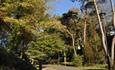 Tree's in Boscombe gardens enjoying the Summer sun
