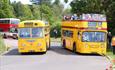 Yellow vintage buses filled with passengers in the sunshine