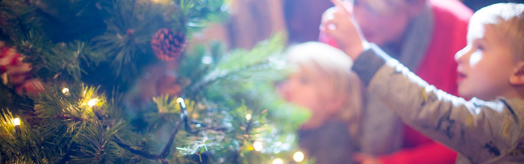 Close up of child looking at a traditional decorated Christmas Tree
