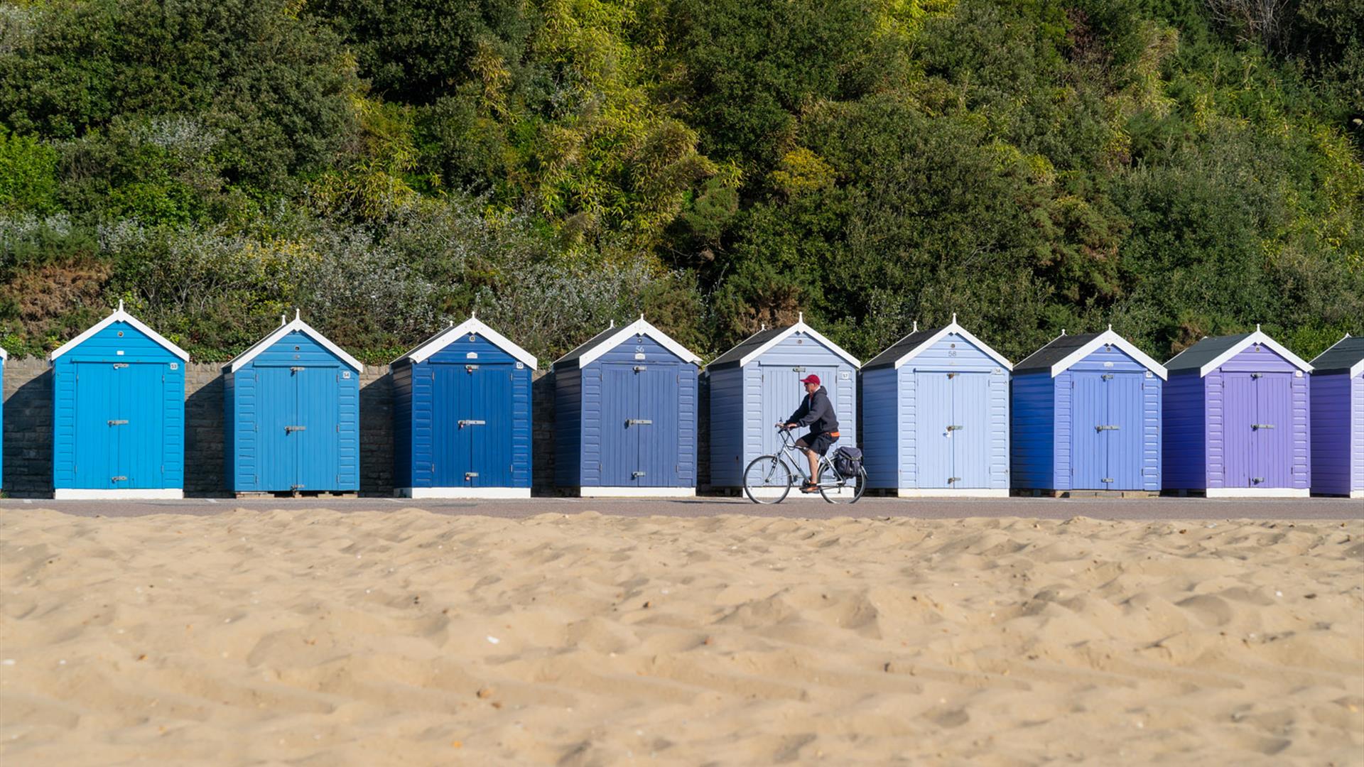 Rows of purple and pink coloured beach huts along bournemouth beach with someone riding their bike alongside.