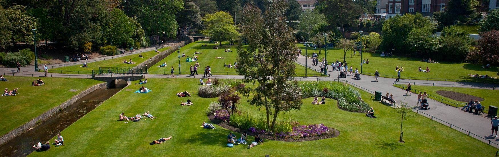 Wide shot of people sitting on the grass enjoying warm sunny weather