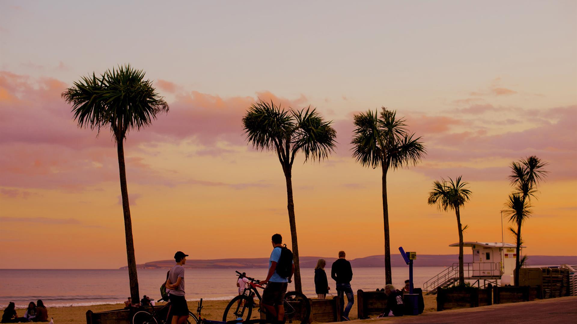 Palm Trees with Orange sunset along Bournemouth coastline