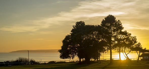 A dusk scene over Poole Bay, with a large tree shadowing the parkland in the background 