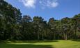 Trees towering around the golf hole at queens park course