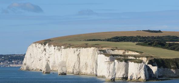 Old Harry Rocks surrounded by blue sea