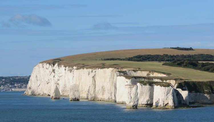 Old Harry Rocks surrounded by blue sea