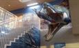 Museum of Jurassic Marine Life