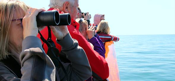 People with binoculars looking at something from a boat